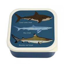 Load image into Gallery viewer, Rex London Snack Box - Sharks