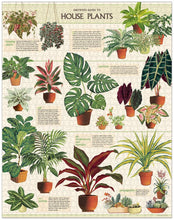 Load image into Gallery viewer, Livewires - House Plants Puzzle - 1000 Pieces
