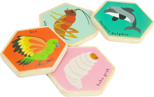 Load image into Gallery viewer, Moana Road - Memory Game - NZ Wildlife
