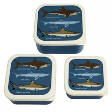 Load image into Gallery viewer, Rex London Snack Box - Sharks
