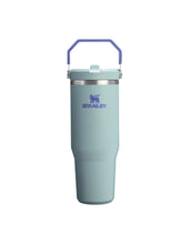 Load image into Gallery viewer, Stanley - The IceFlow Flip Straw 2.0 Tumbler 30 OZ Blue Cactus
